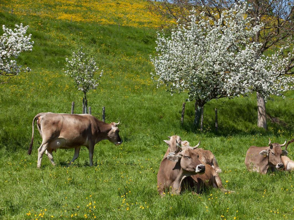Gasthof Roessle Rieden Bagian luar foto